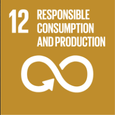 Responsible Consumption