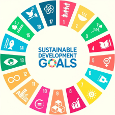UN SDGs